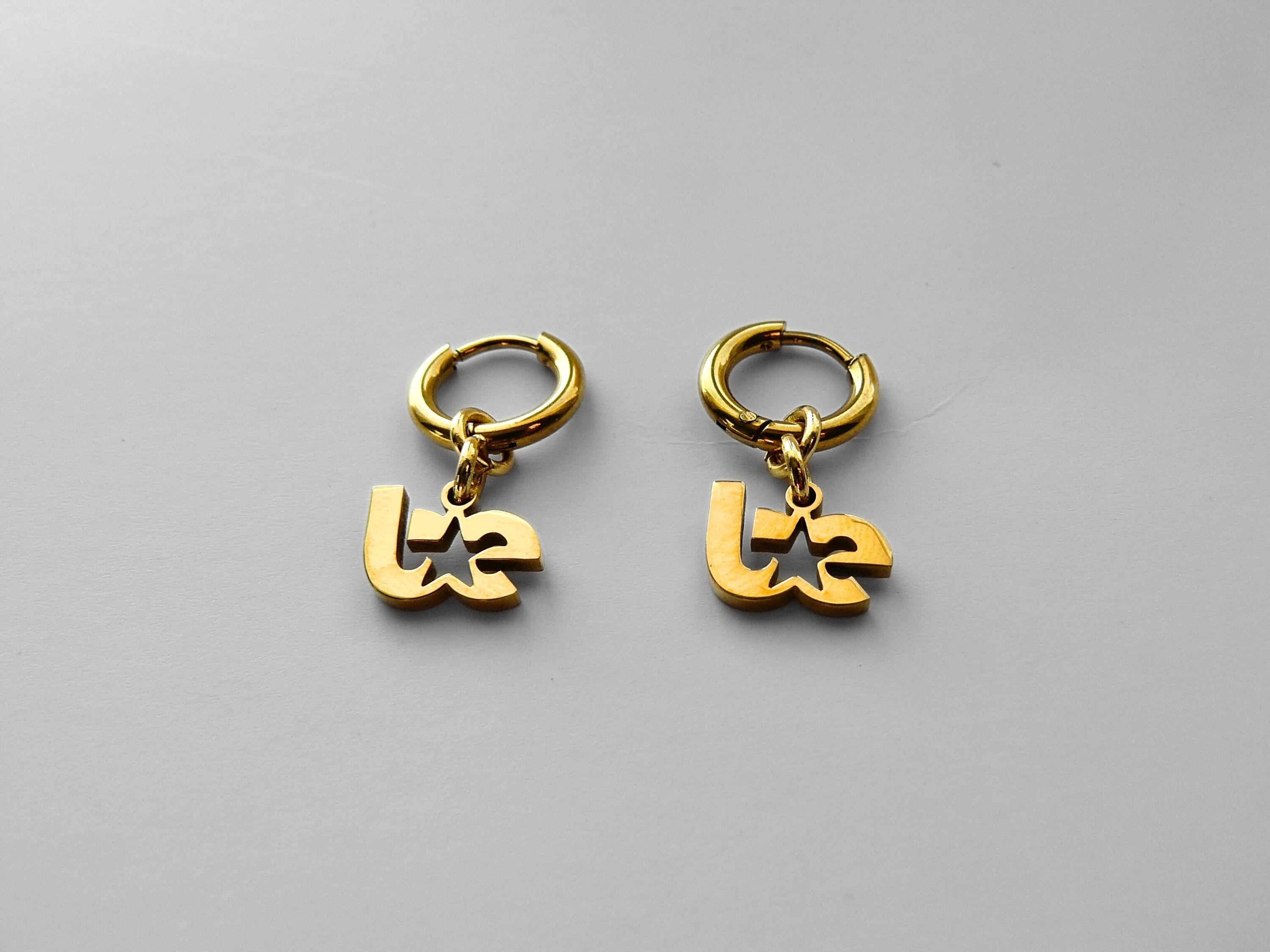 BE Stainless Steel Earrings